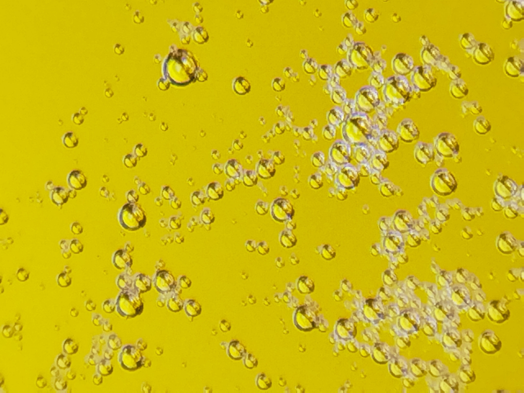 pimg-srchttpsiforum-dechihonorcomitdataimages2022419885b2cdd-a0fe-4418