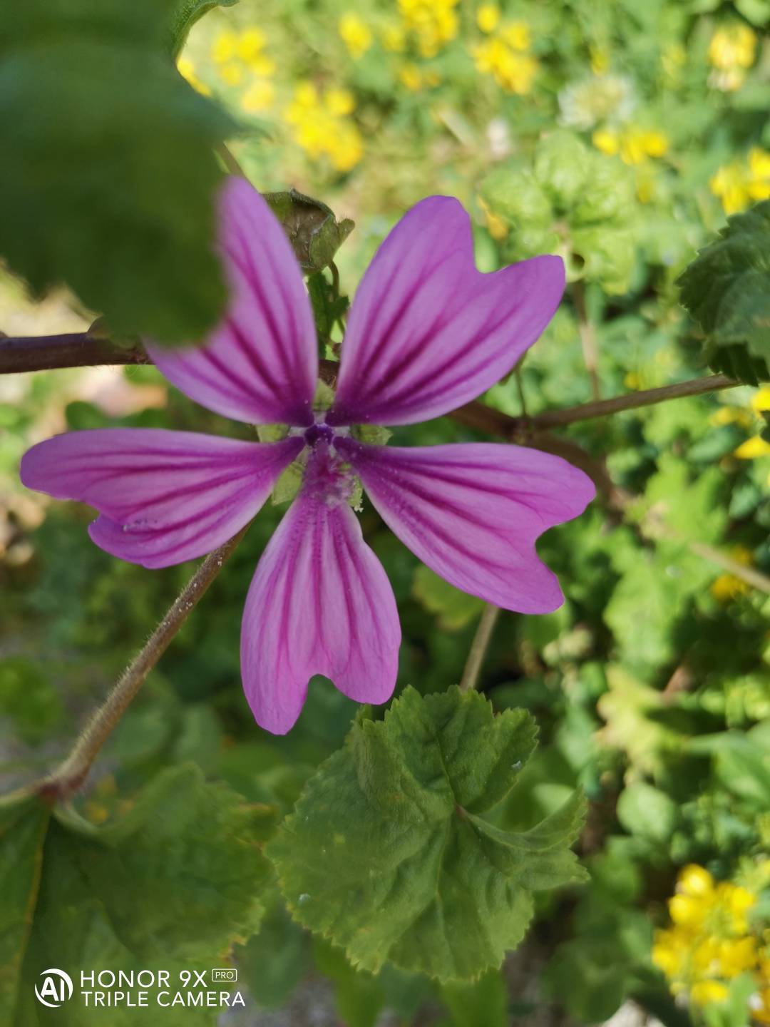 p-styletext-align-centerCiao-COMMUNITYpp-styletext-align-centercome