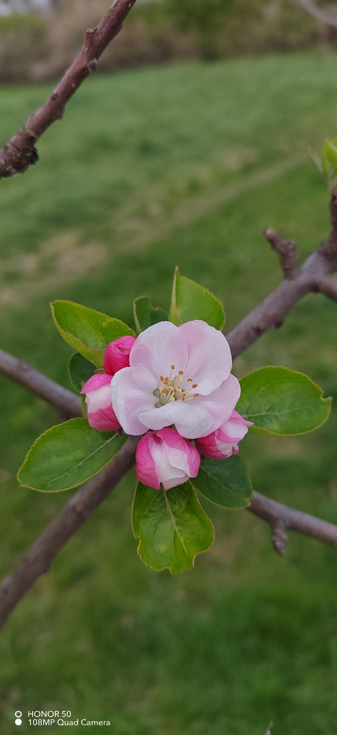 p-styletext-align-centerBuon-Lunedi-Communitypp-styletext-align