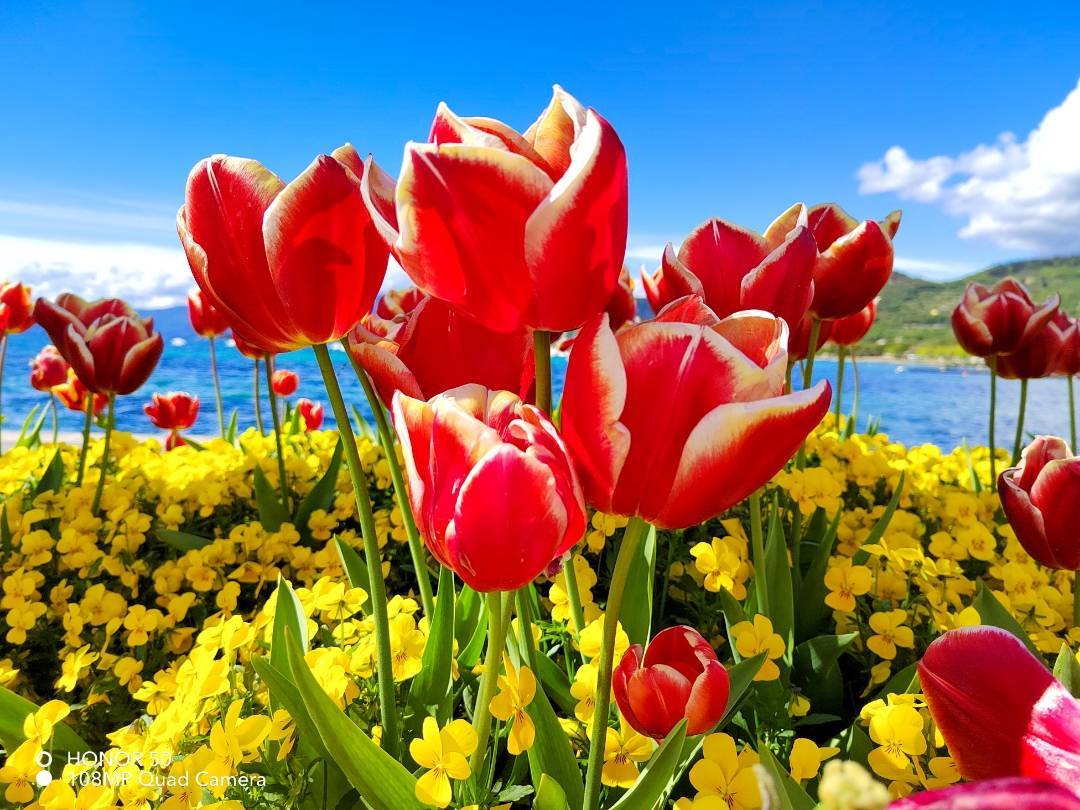 p-styletext-align-centerBuon-Lunedi-Communitypp-styletext-align