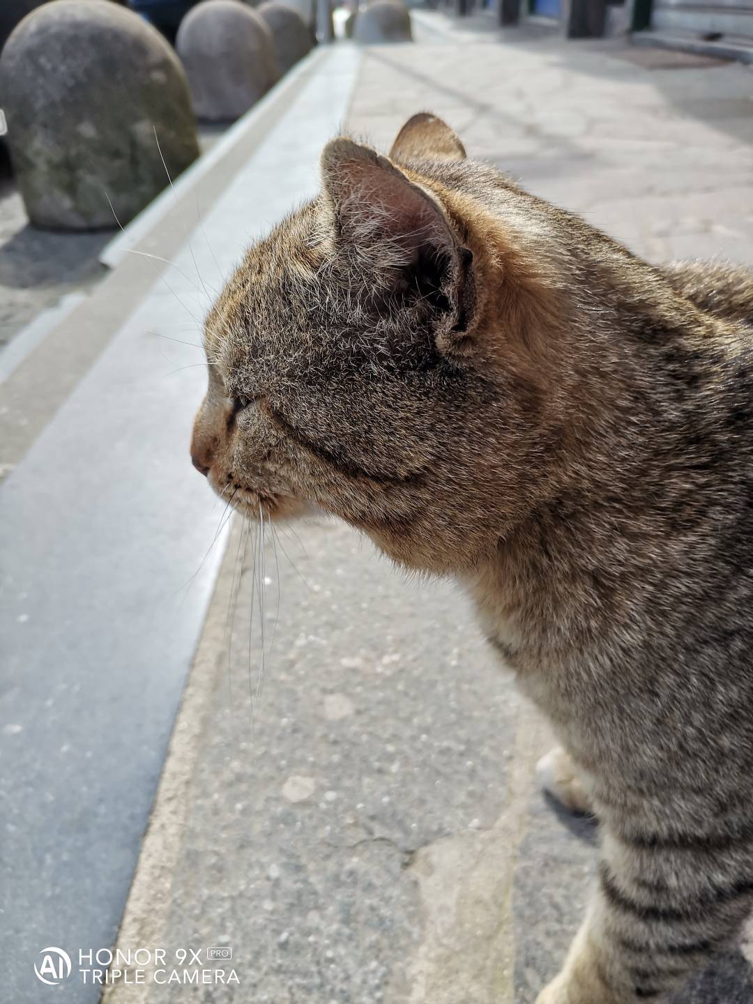 p-styletext-align-centerBuon-Lunedi-Communitypp-styletext-align