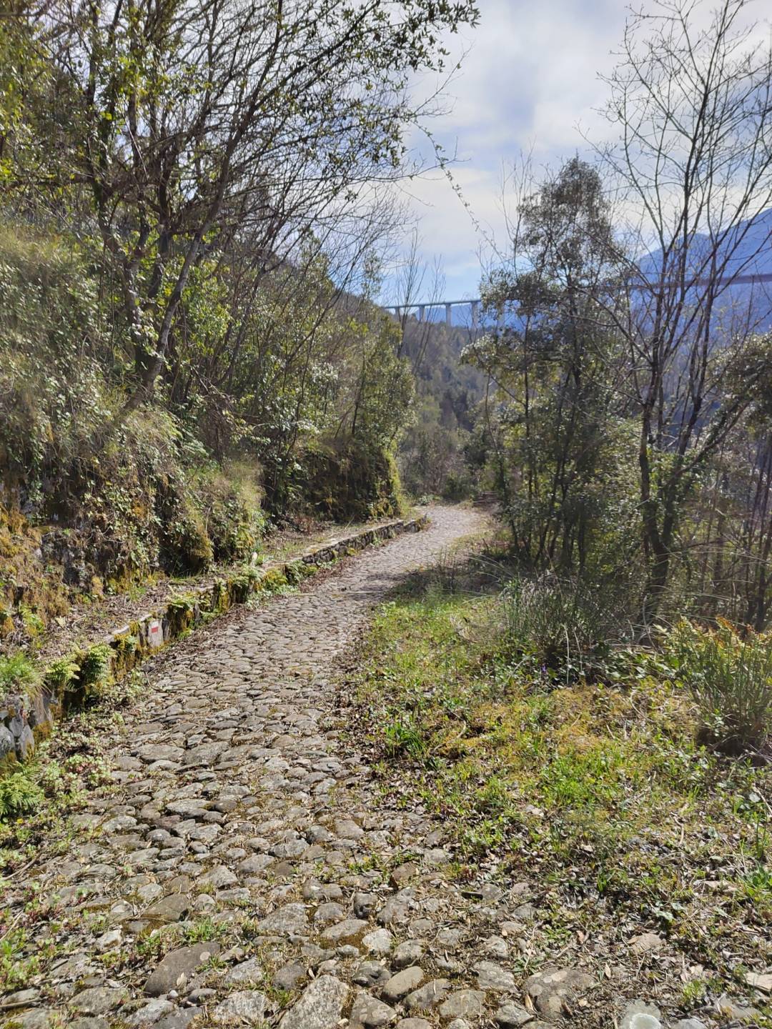 p-styletext-align-centerBuon-Lunedi-Communitypp-styletext-align