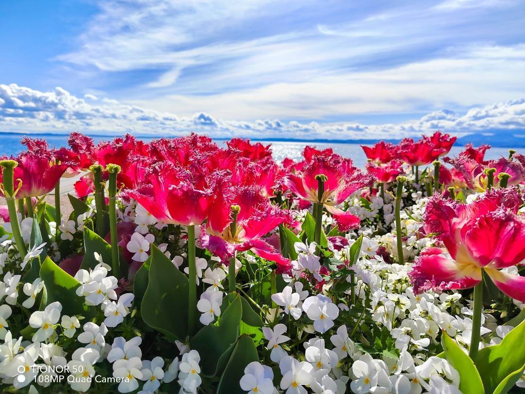 p-styletext-align-centerBuon-Lunedi-Communitypp-styletext-align