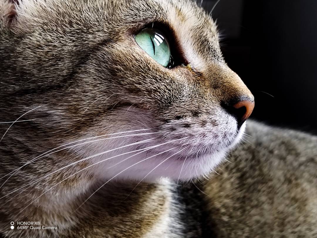 p-styletext-align-centerBuongiorno-Communitynbspimg-srchttpsiforum