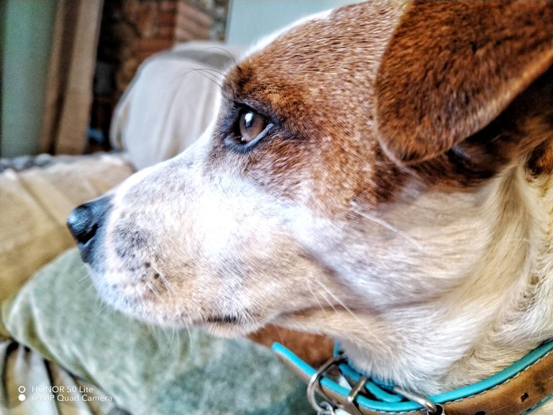 p-styletext-align-centerBuongiorno-Communitynbspimg-srchttpsiforum