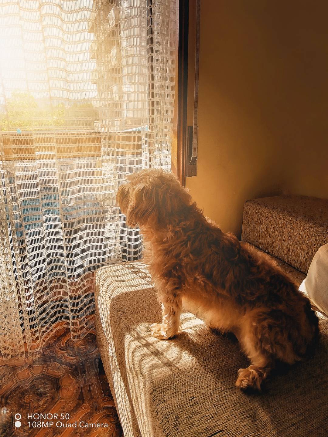 p-styletext-align-centerstrongHi-HONOR-Fansstrongpp-styletext-align