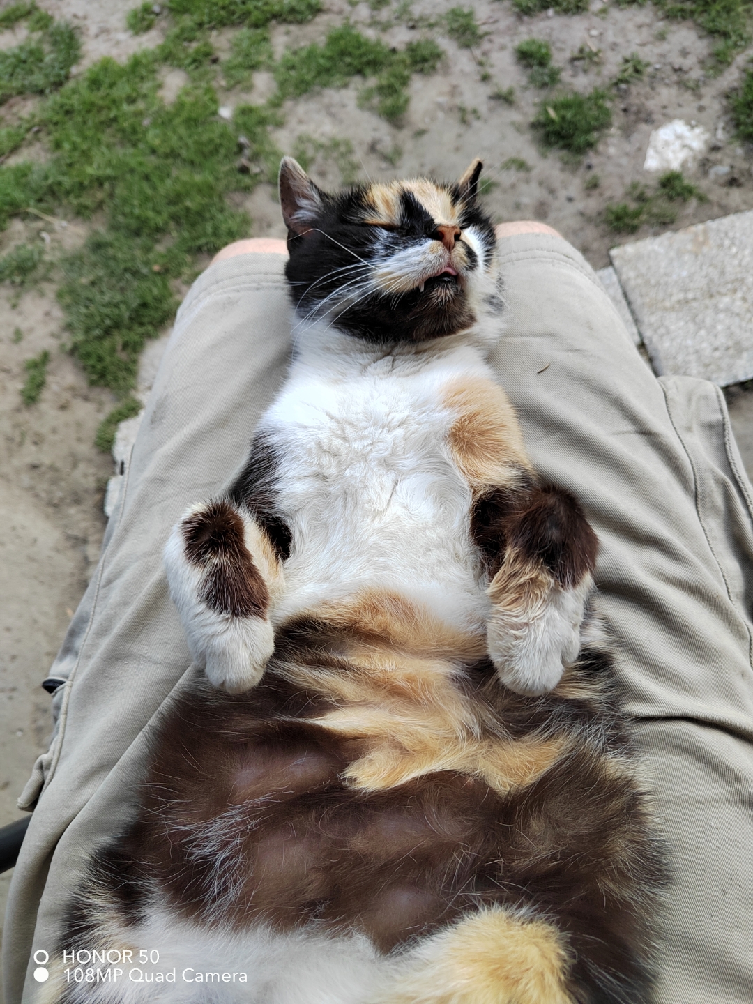 p-styletext-align-centerstrongHi-HONOR-Fansstrongpp-styletext-align