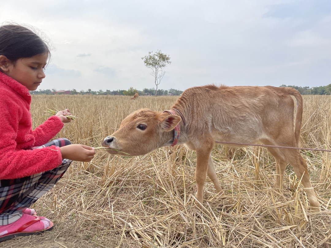 p-styletext-align-centerstrongHi-HONOR-Fansstrongpp-styletext-align