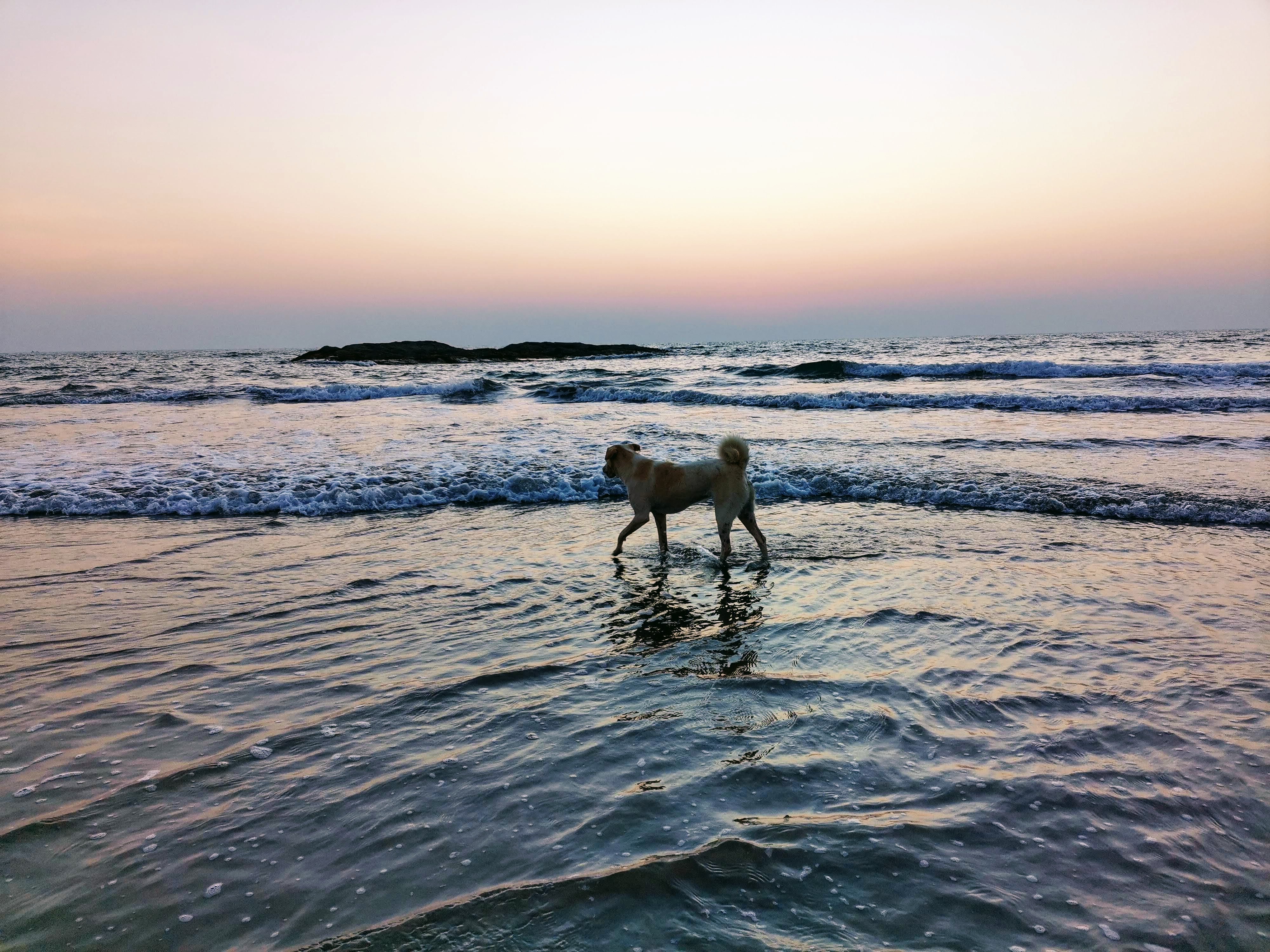 p-styletext-align-centerstrongHi-HONOR-Fansstrongpp-styletext-align