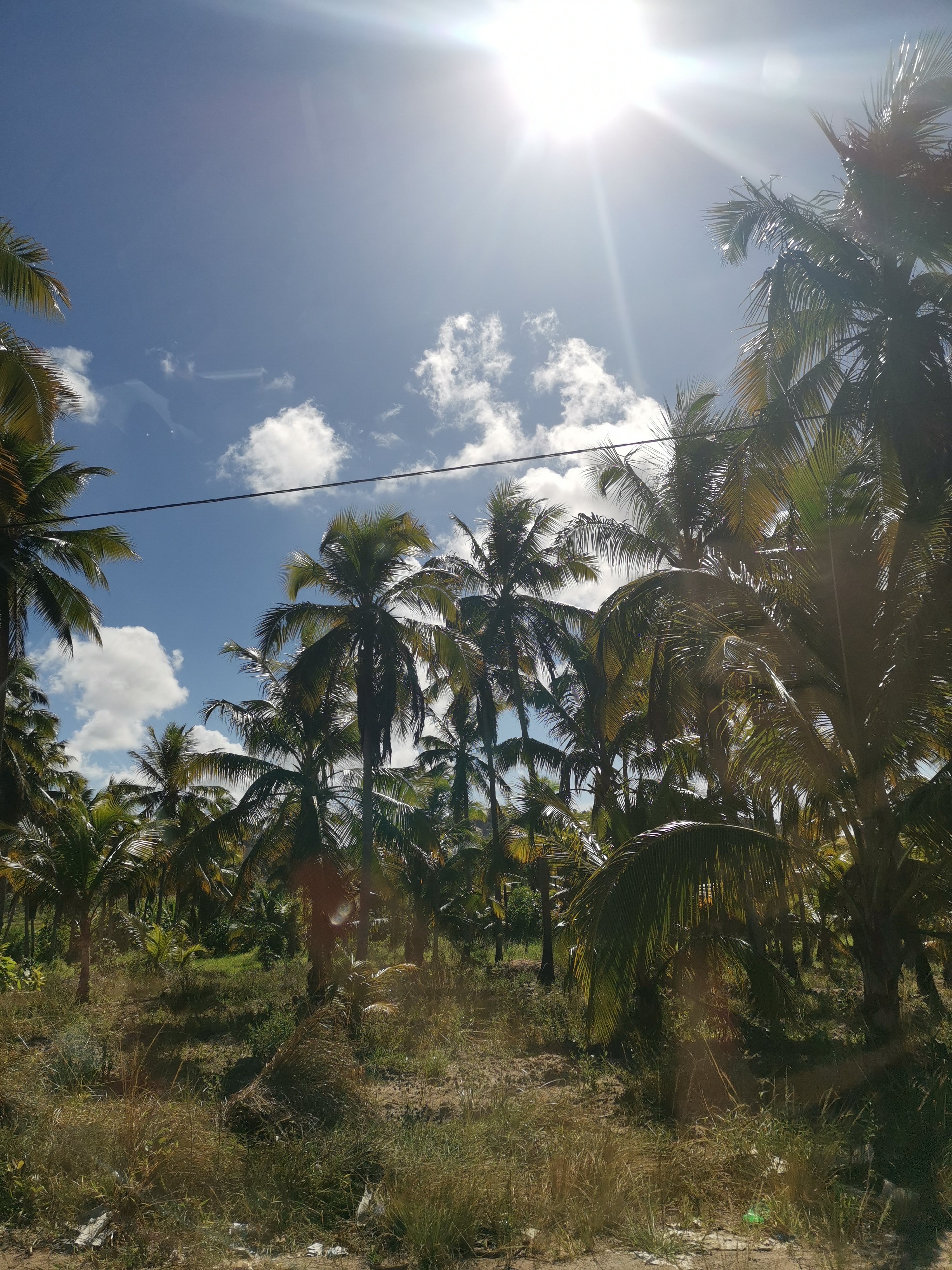 Adventures-in-Brazil-with-the-HONOR-View20