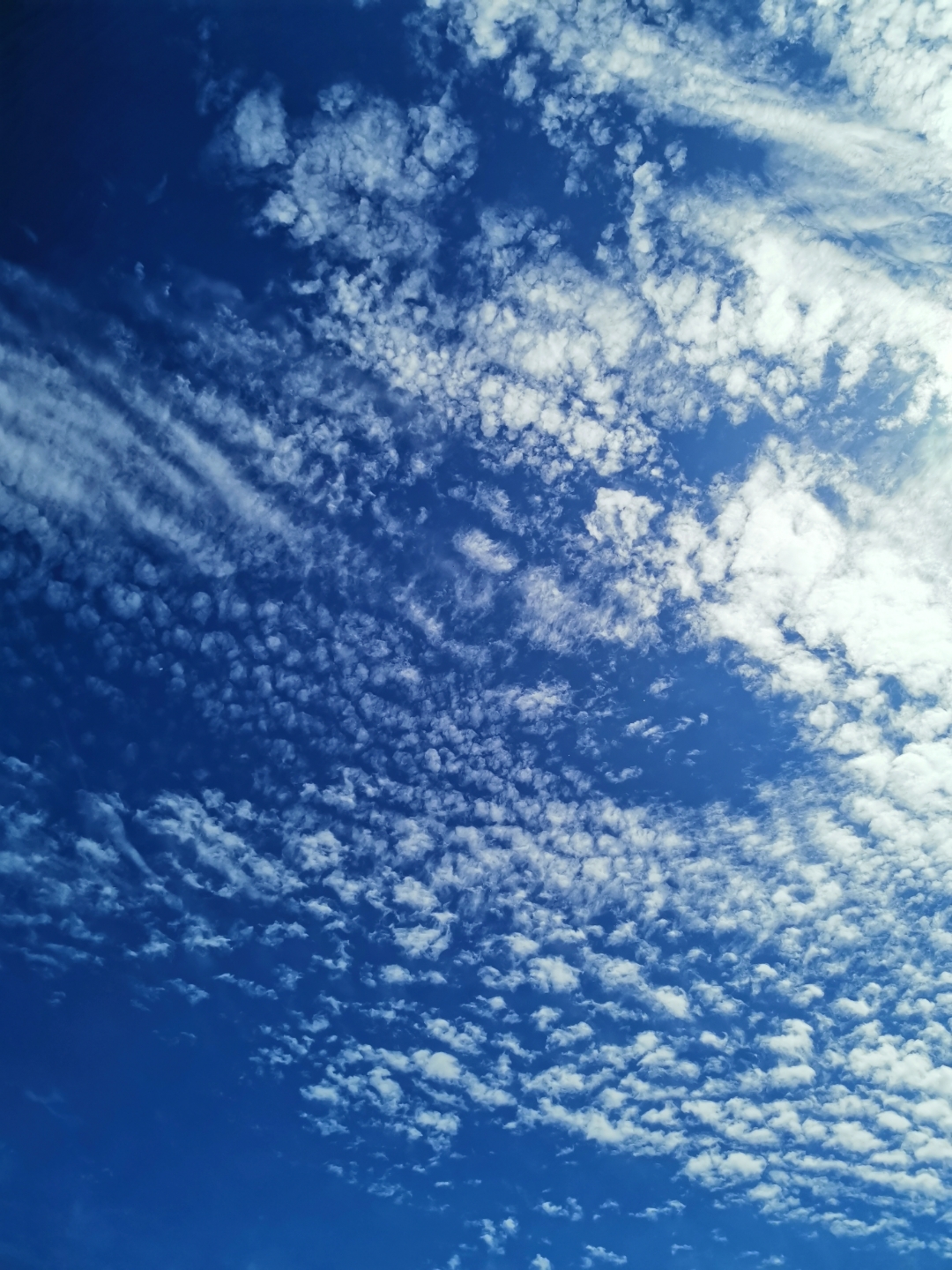 few-pics-from-today-honor-20-pro