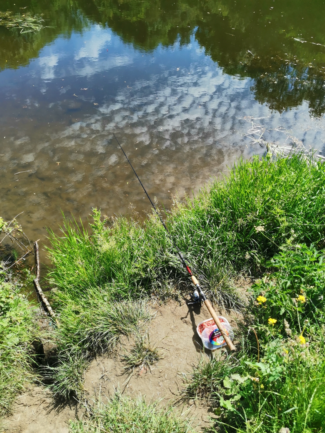 few-pics-from-today-honor-20-pro