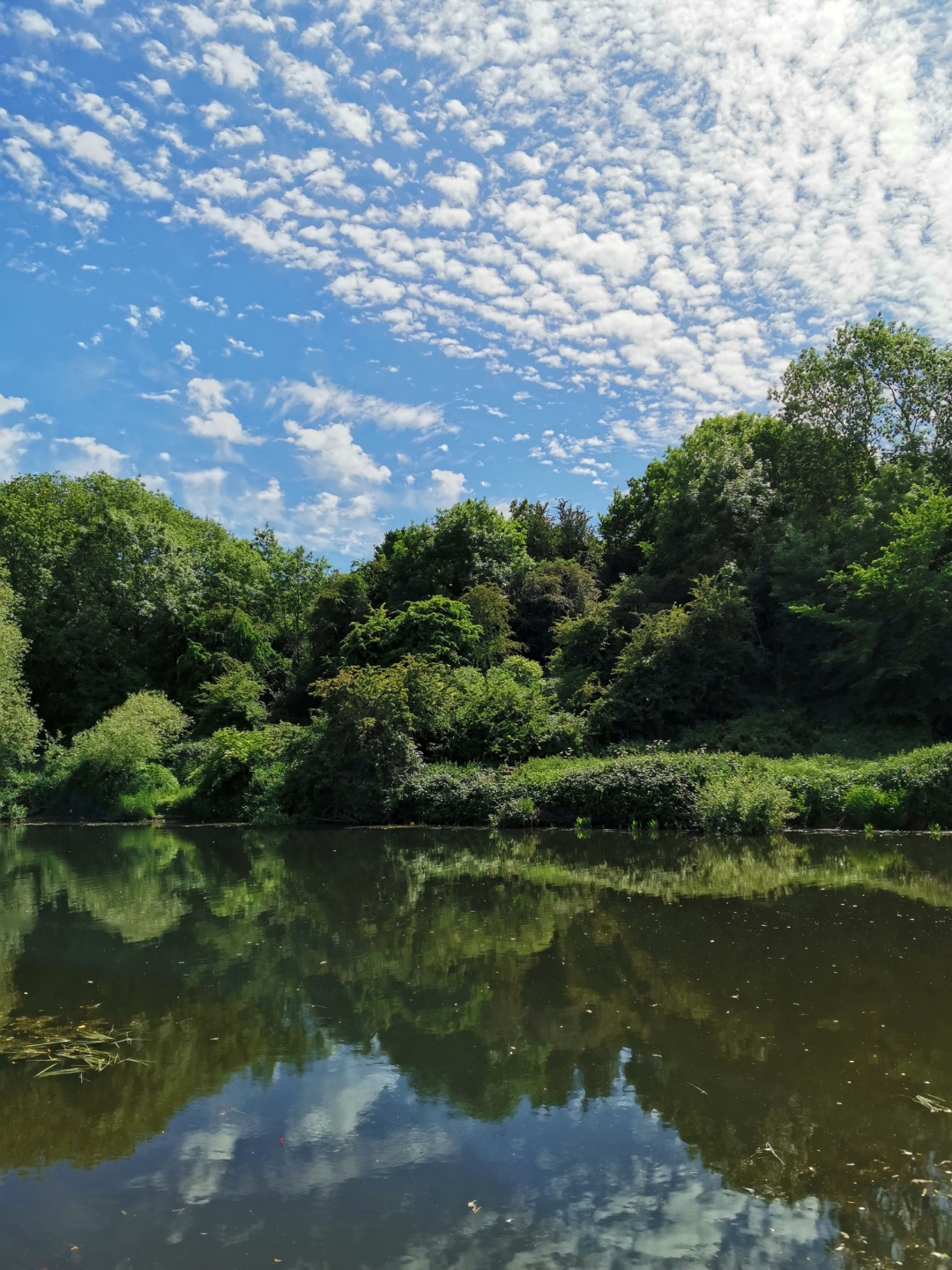 few-pics-from-today-honor-20-pro