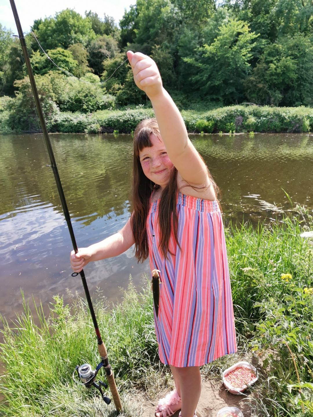 few-pics-from-today-honor-20-pro