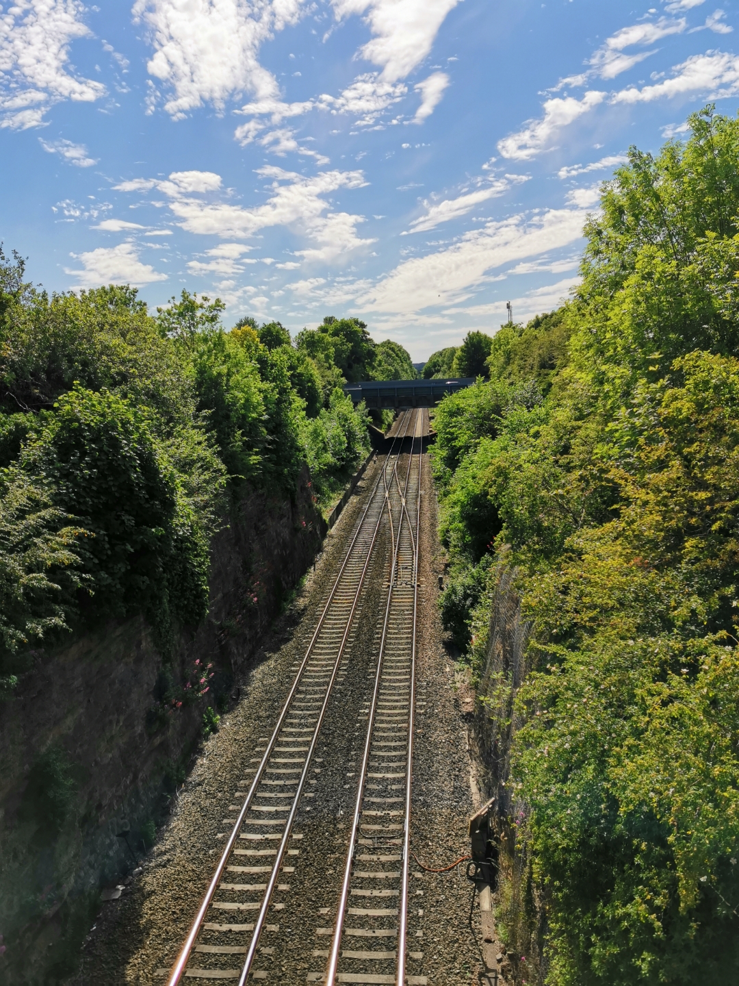 few-pics-from-today-honor-20-pro