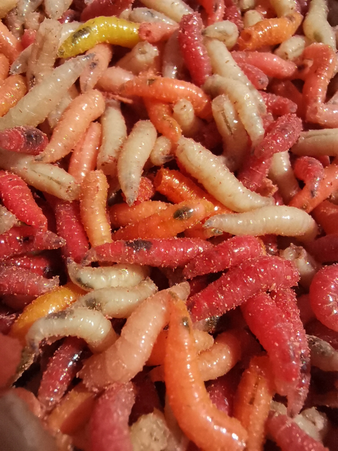 few-pics-from-today-honor-20-pro