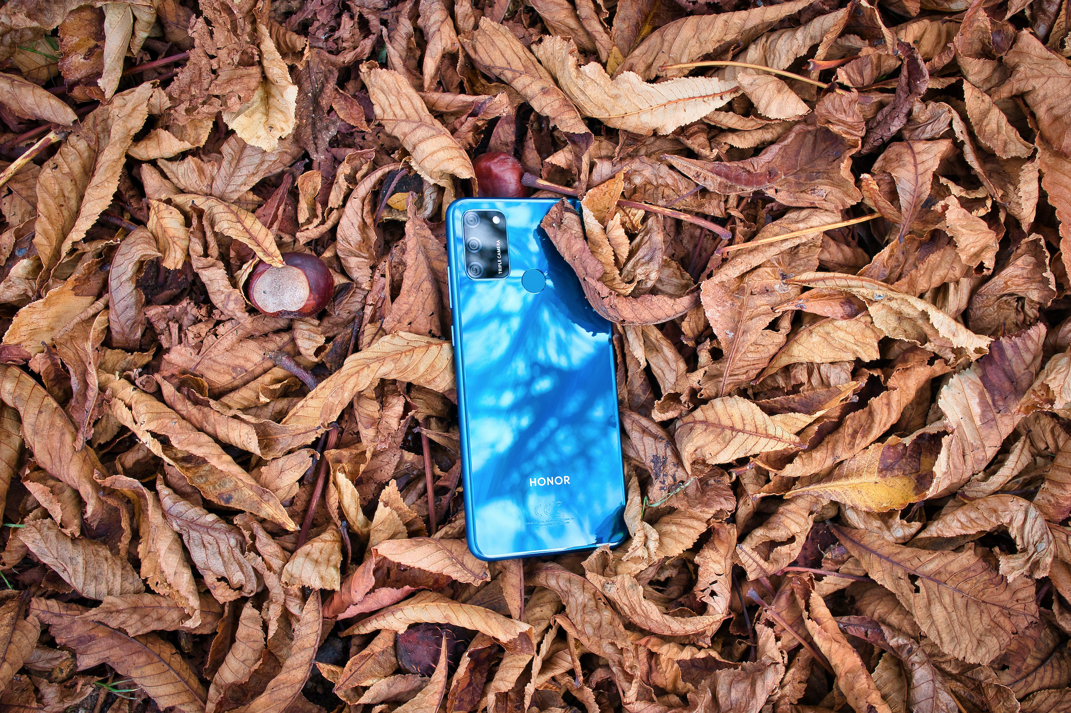 p-styletext-align-centerspanstrongbrstrongspanpp-styletext-align