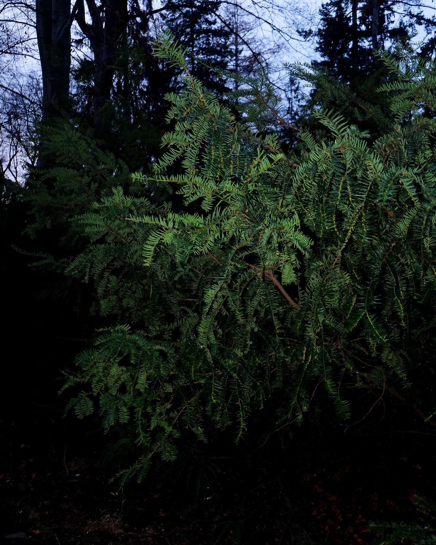 pspan-stylefont-size16pxHi-HONOR-Communityspanppspan-stylefont