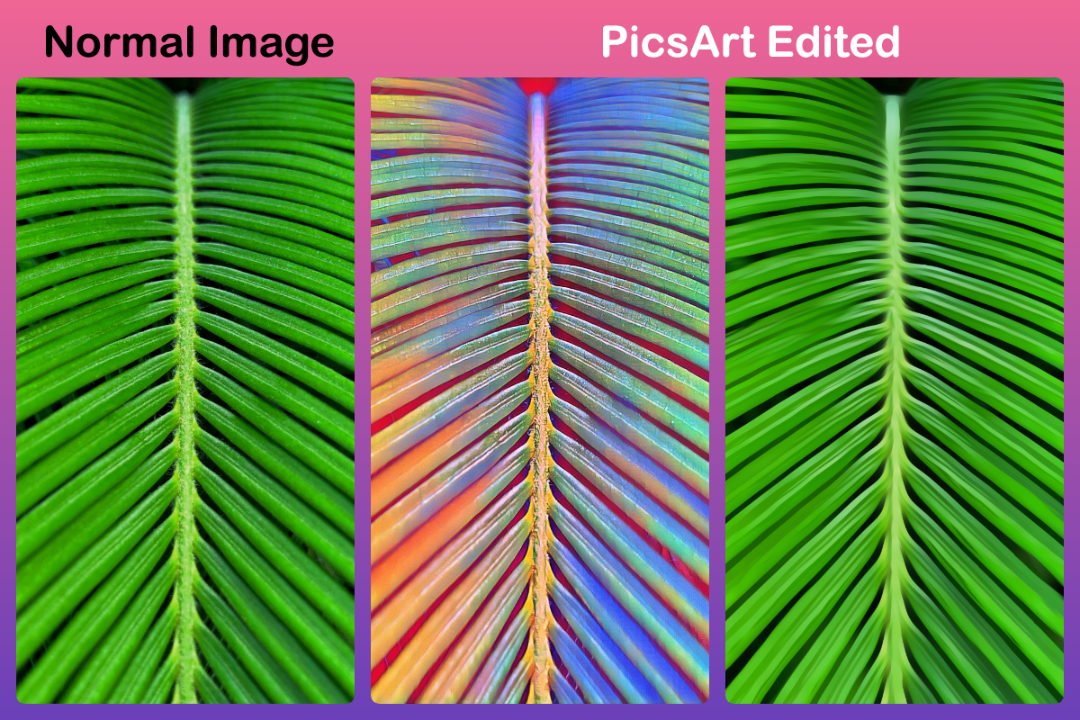 AppShare-PicsArt---All-in-one-Photo-Video-Editing-App-Explore-It-On