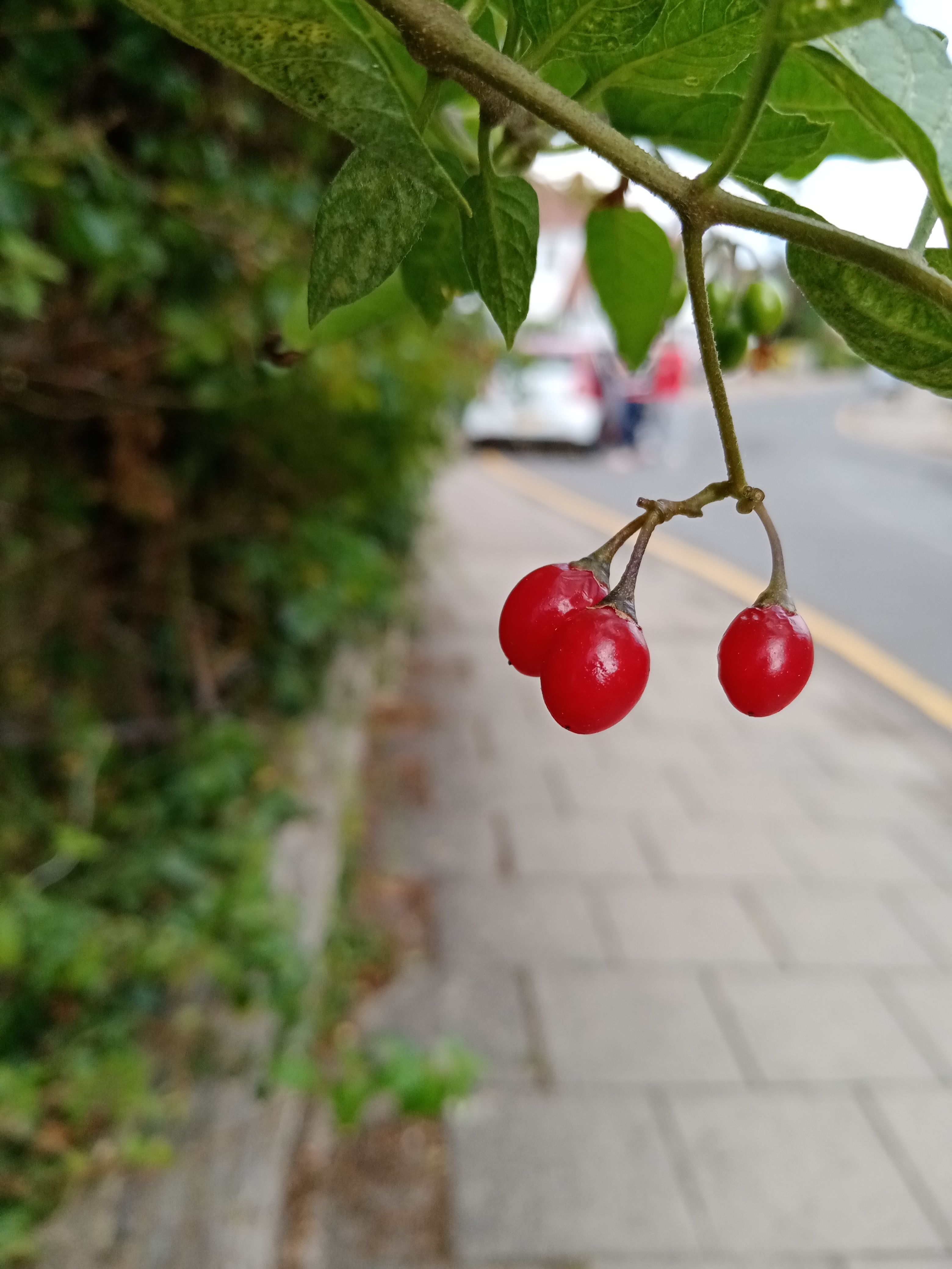 p-stylemargin-left24pxtext-alignjustifyspan-stylecolor-rgb15-15-15