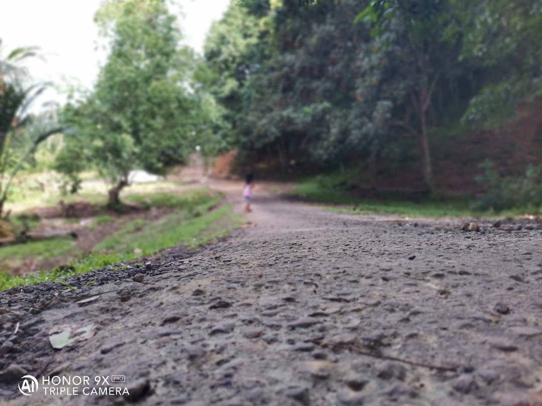 phallu-allppimg-srchttpsiforum-dechihonorcomukdataimages202083ae73afe7
