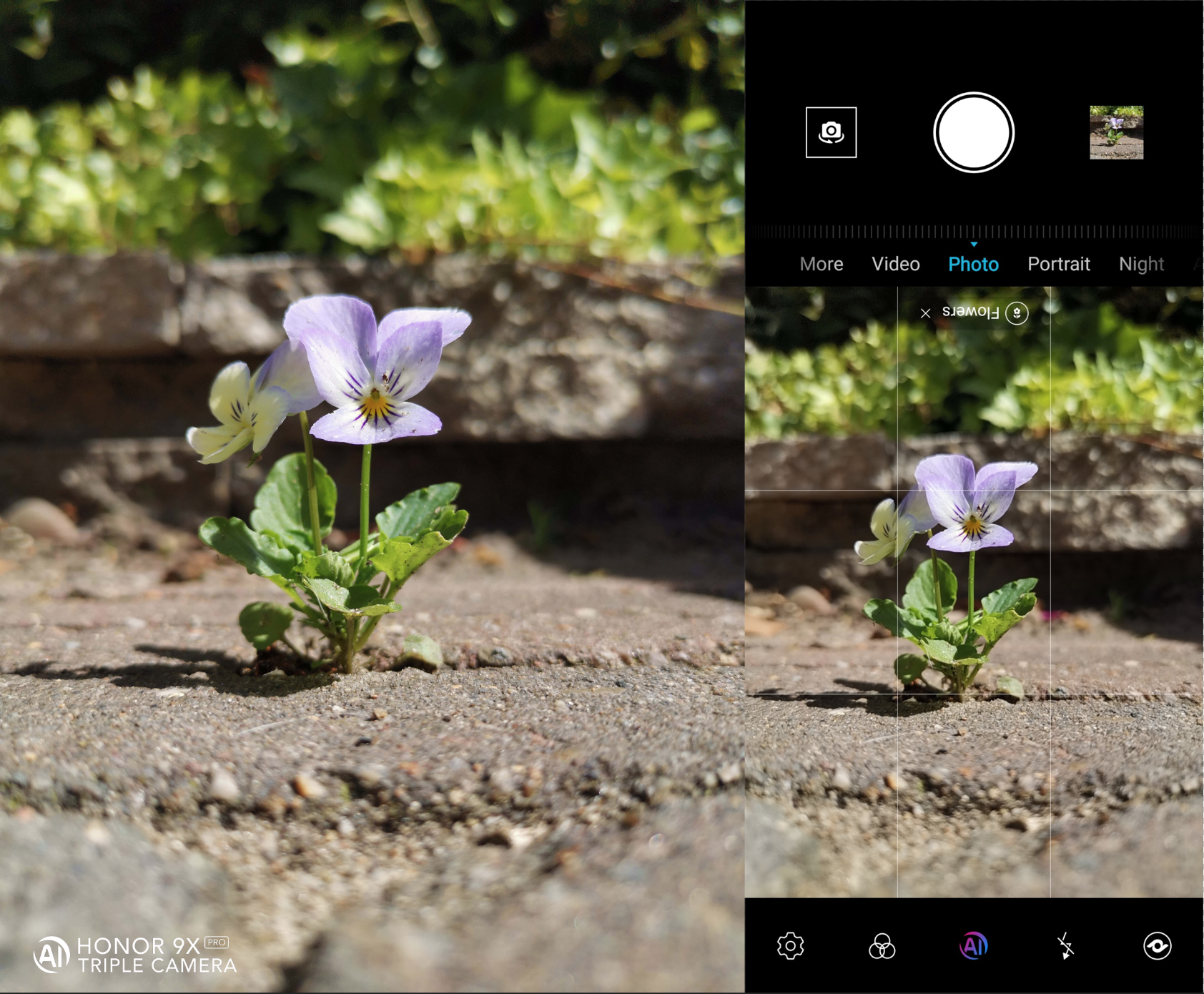 pspan-stylewhite-space-nowrapHey-Everyonespanppspan-stylewhite-space
