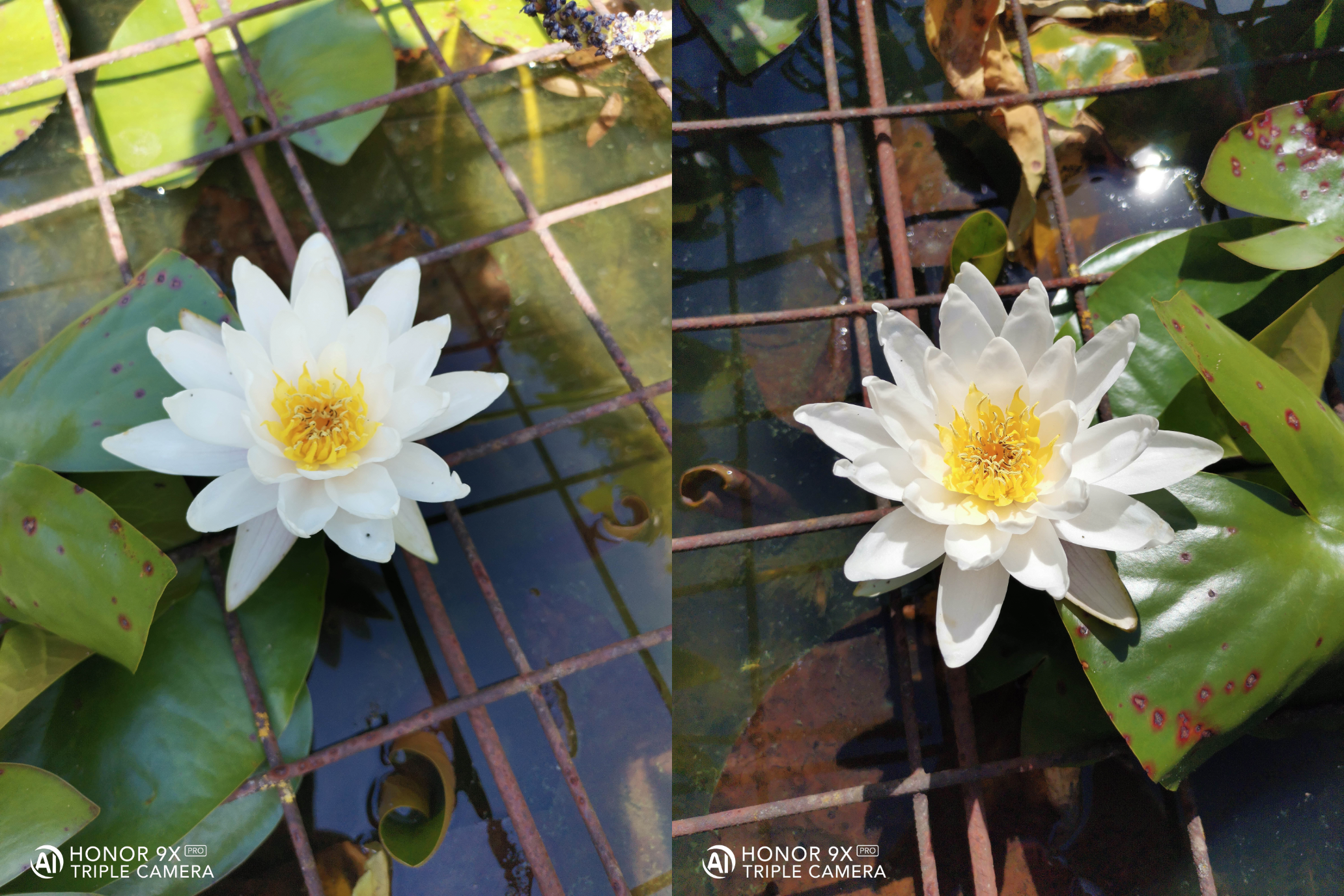 pspan-stylewhite-space-nowrapHey-Everyonespanppspan-stylewhite-space