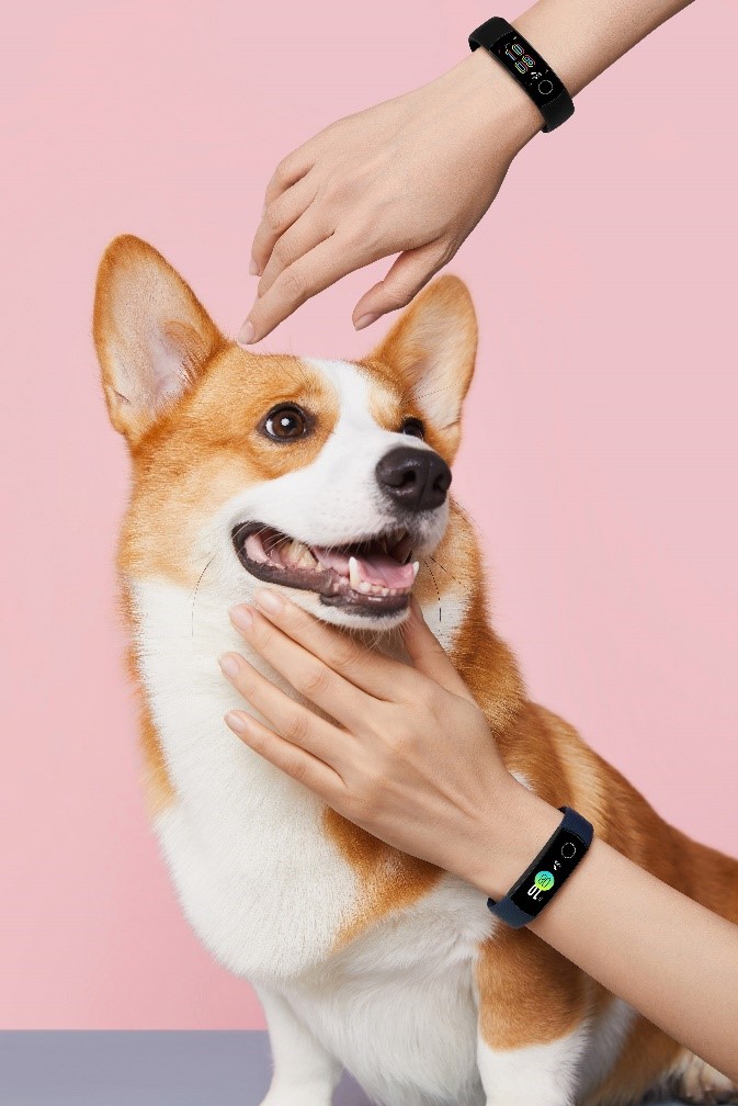 Question-HONOR-Band-5-and-Band-5-Sport-which-should-you-choose