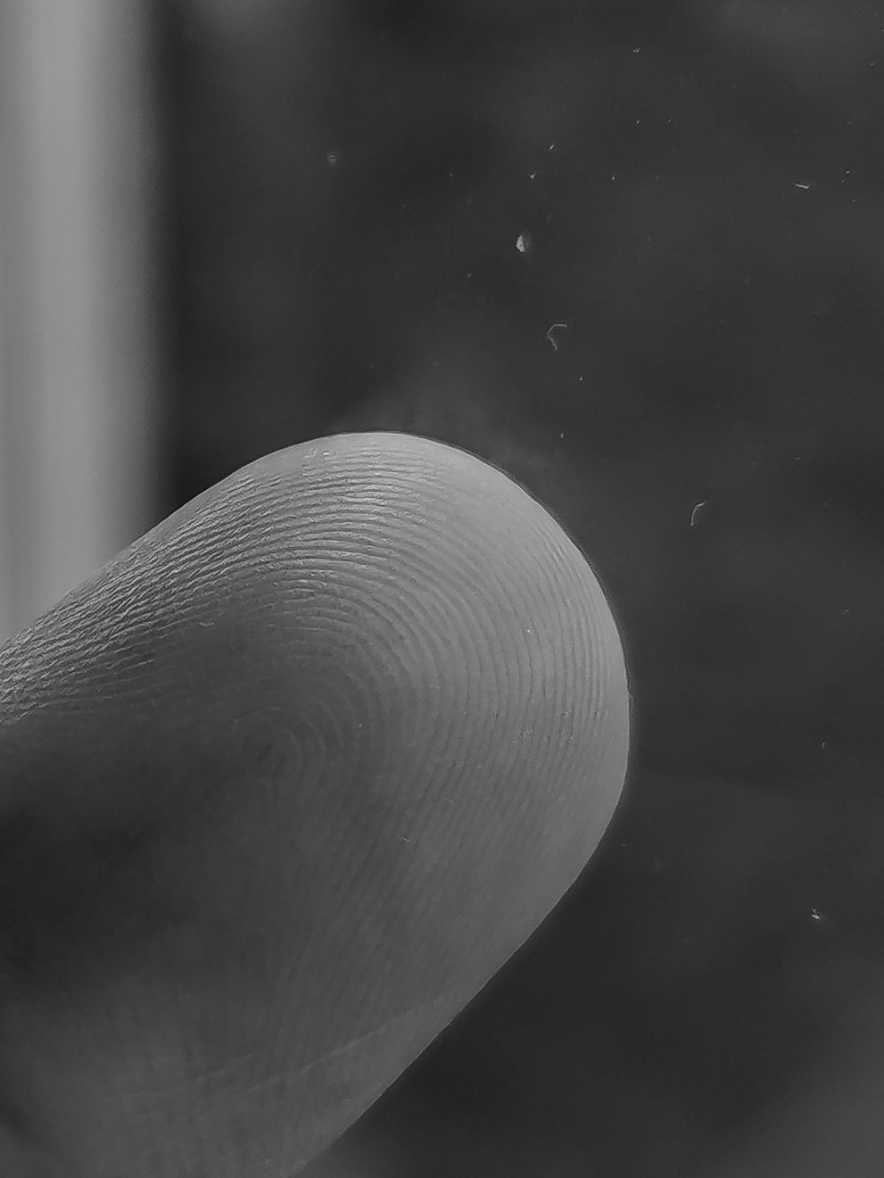 Macro-Mobile-Photography-Honor-9X-pro-samples