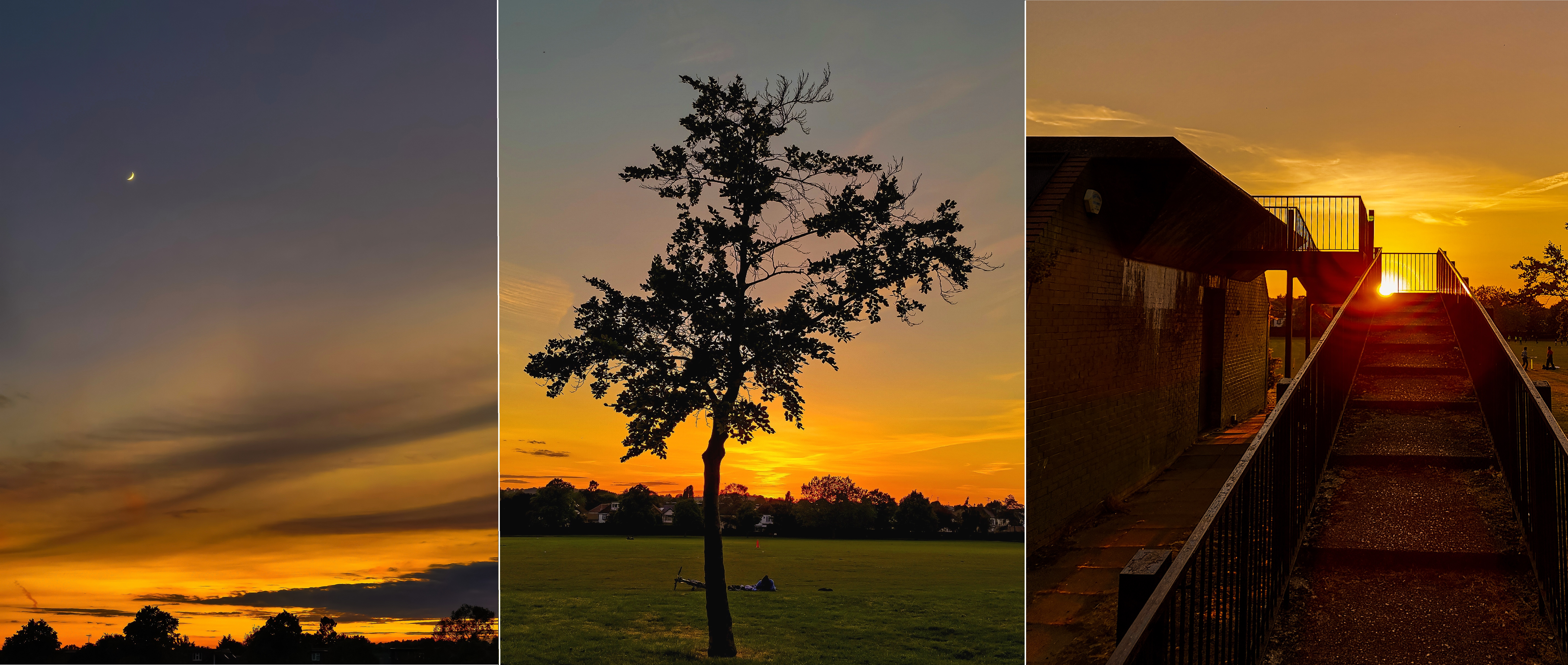 pspan-styleletter-spacing-009pxWhen-I-started-to-take-pictures-from-my