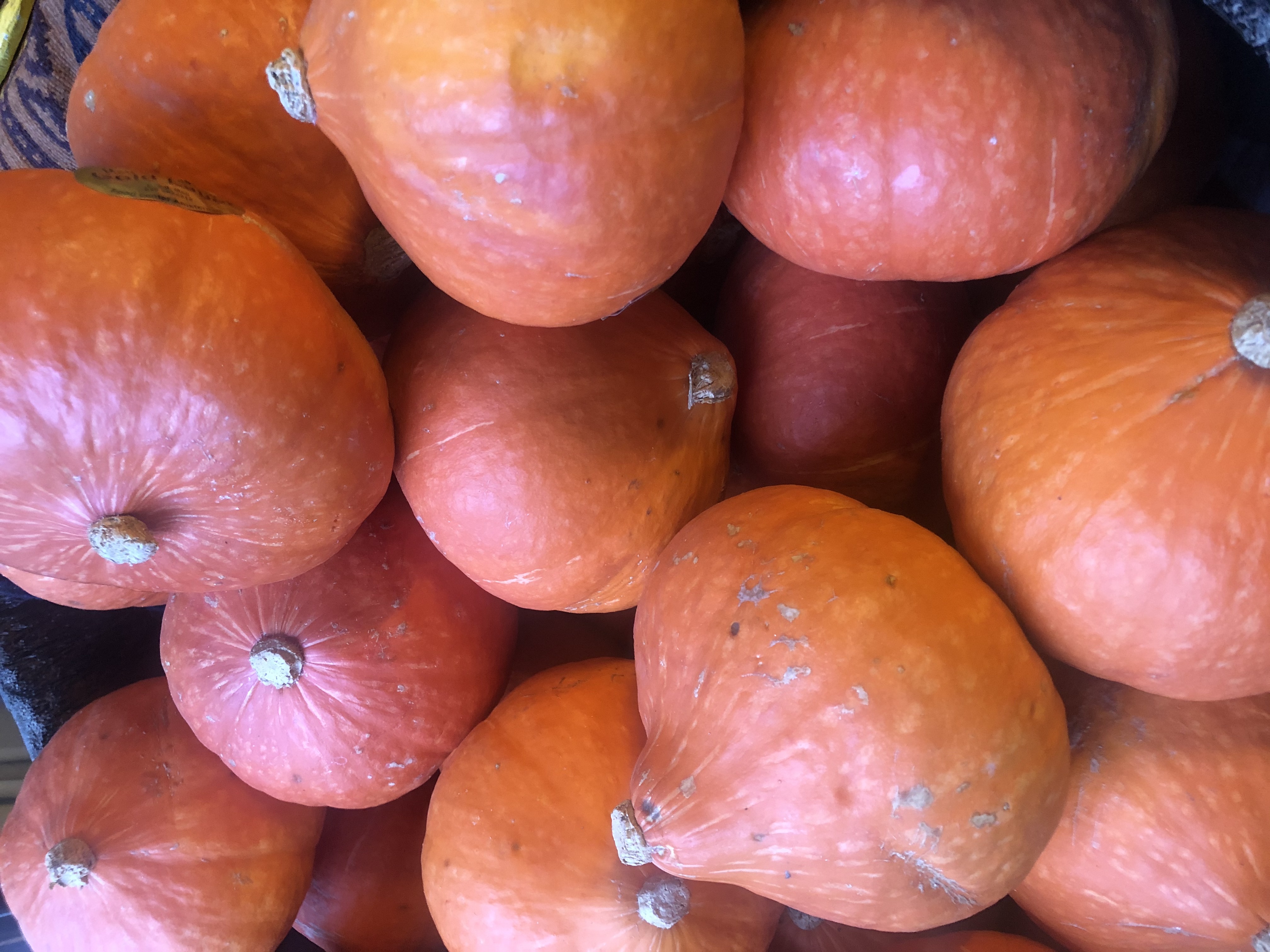 pspan-stylefont-size16pxHi-HONOR-Communityspanppspan-stylefont